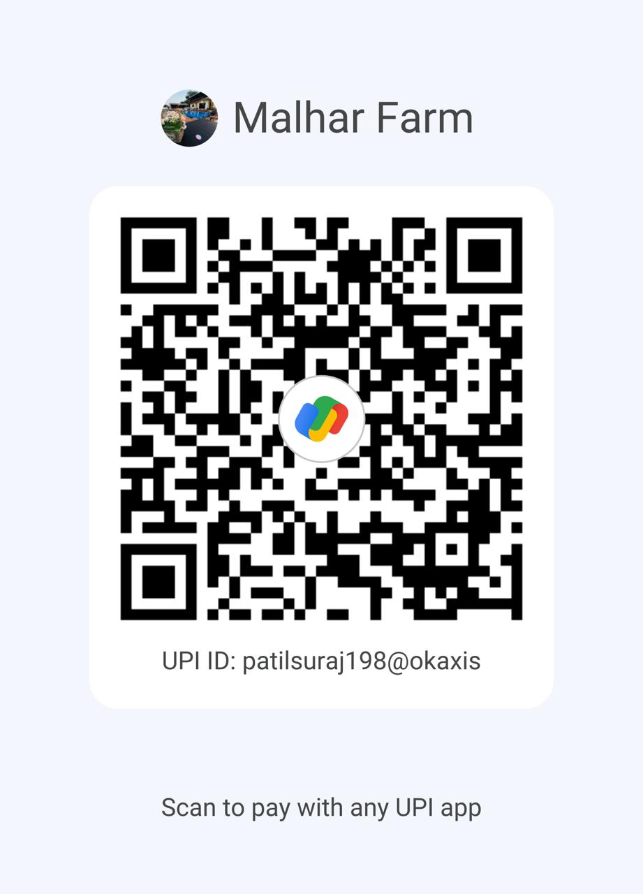 UPI QR Code